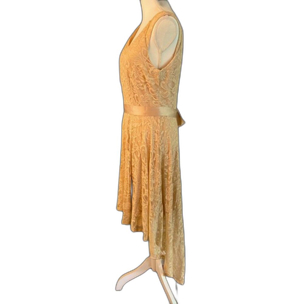 Berry Love High Low Formal Dress XL Chiffon Champagne (Formal or Wedding) - Picture 5 of 13